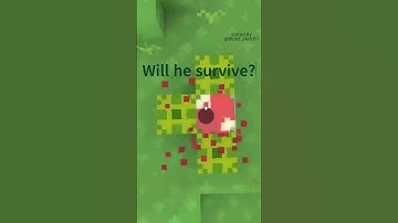 Daquavis Shorts Be Like... #bloxd #bloxdio