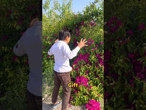 My small brother found mini gift in flowers garden🎁😱 #shorts