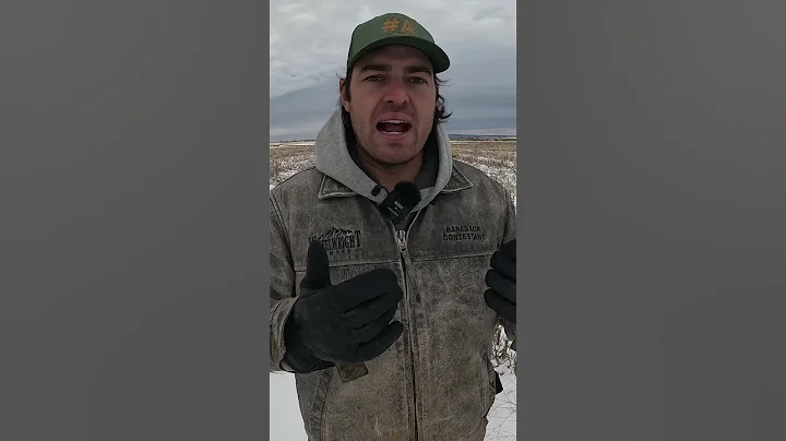 USDA Just Put $700M Into Regenerative Ag