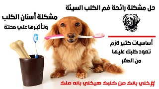 رائحة الفم الكريهة للكلاب و التخلص منها و مشكلة أسنان الكلب وتأثيرها علي صحة الكلب / سامر غازي