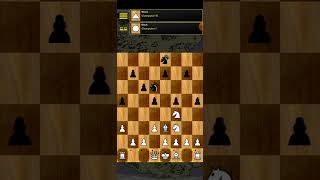2 Amazons Vs Chess Army