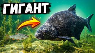 Лучший майский день на карьере: Встреча с трофеем!