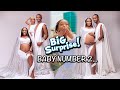 THE BIG SURPRISE !!! WE ARE PREGNANT | THE WAJESUS FAMILY