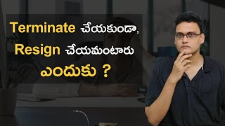 Termination Vs Resignation | Why companies want their employees to resign #softwarejobstelugu