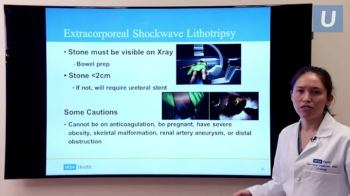 Everything You Need to Know About Urinary Stones | Caroline Wallner, MD | UCLAMDChat - DayDayNews