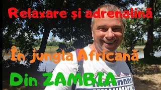 M-am plimbat singur pe jos prin Jungla Africană din Zambia