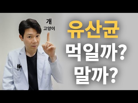 광고X 협찬X 개,고양이 유산균의 효능, 추천이유, 주의사항