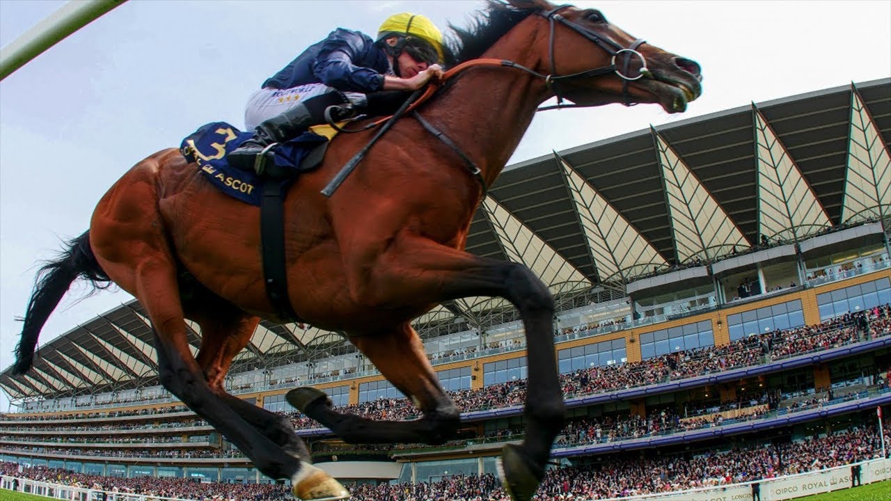 horseshoe bend Chris Stickels on the likely going for King George day at Ascot