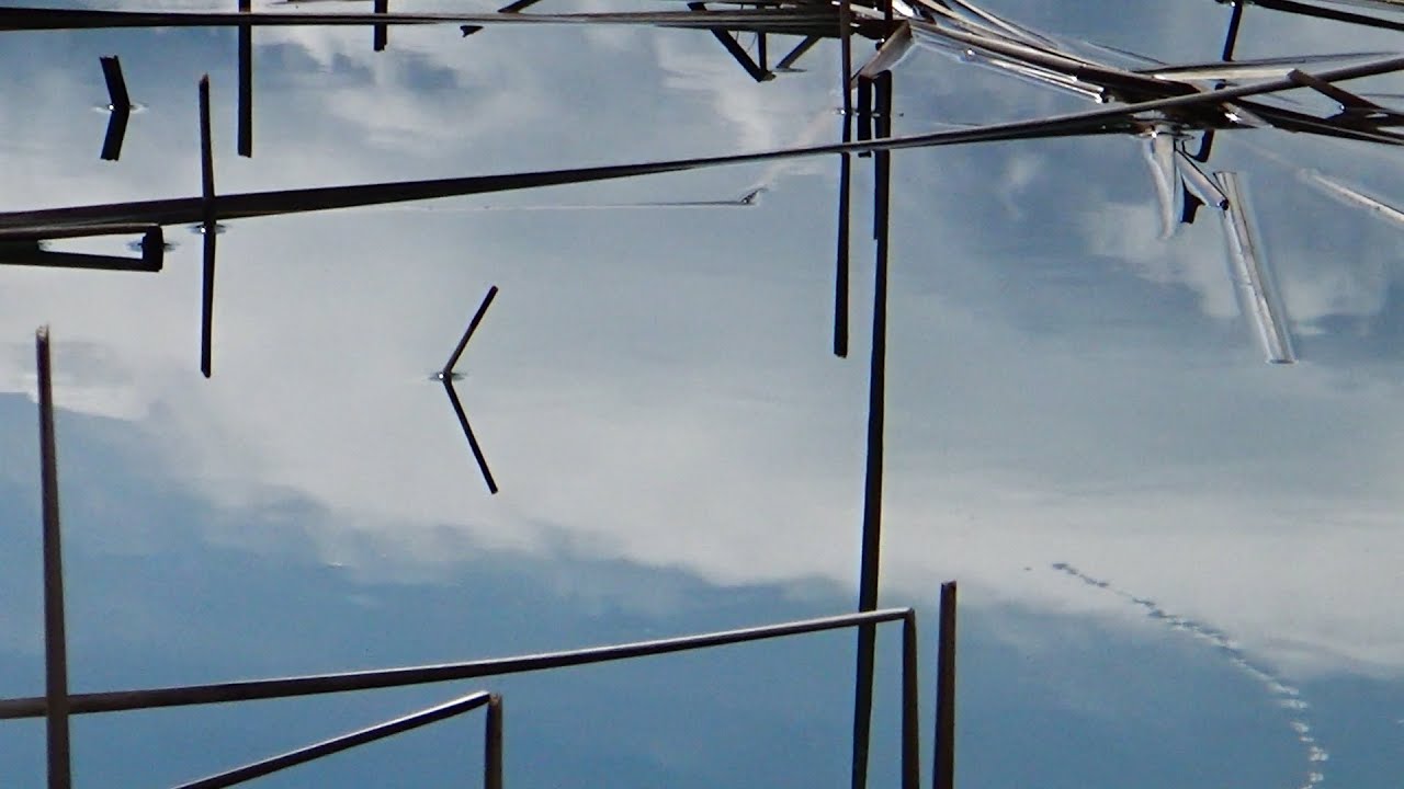 March Spring 2020 float fishing on the wild lake for chub, roach, float & maggots (ENG SUB)