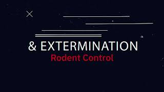 Protect Your Home with Madison Pest Control