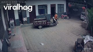 Man's Tricycle Troubles Lead to Unexpected Chaos || ViralHog