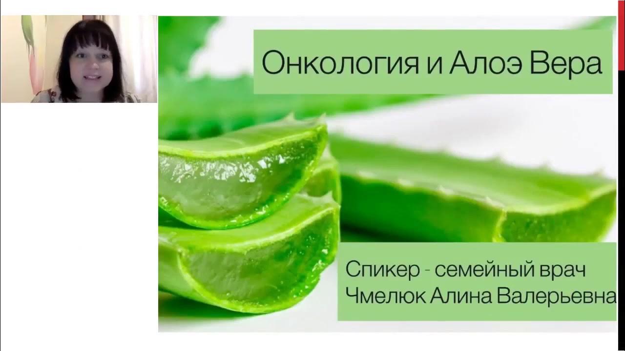 алоэ вера при онкологии. лекарство из столетника для желудка. алоэ исцеляет. можно ли принимать алоэ при онкологии. чем полезен алоэ.