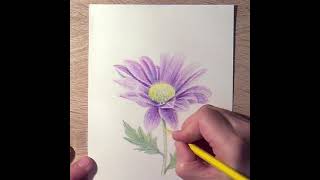 Как нарисовать цветок цветными карандашами. Рисуем весну.