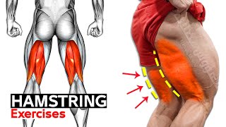 6 Easy Exercises Hamstring Workout | Leg Day