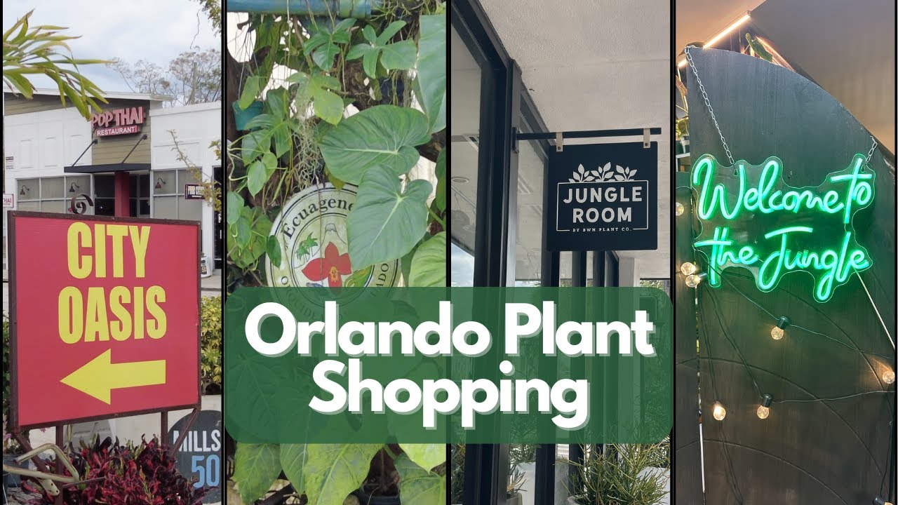 Plant Shopping in Orlando | BWH, City Oasis, The Nursery Project & Ecuagenera