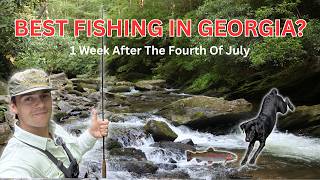 Is This Still The Best Public Trout Fishing In Georgia