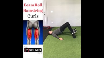 Foam Roll Hamstring Curls