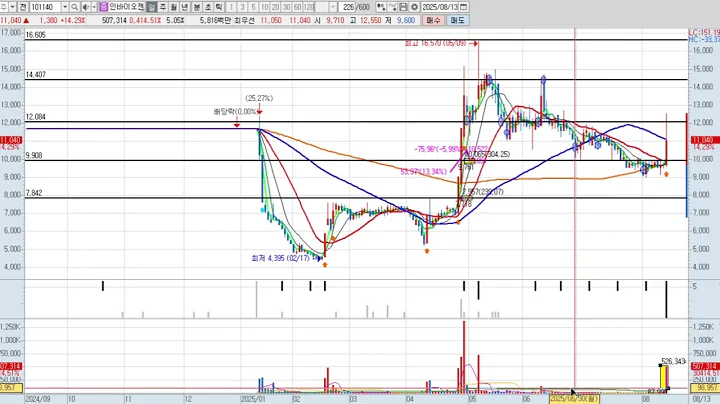 인바이오젠 3차 101140 패턴분석 및 투자전략