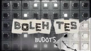 BOLEH TES - NANDO PAU ( REMIX ) 2025