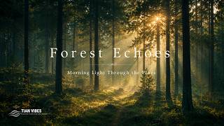 Forest Echoes 🌲 Relaxing Piano & Forest Nature Sounds for Deep Focus, Study & Reading