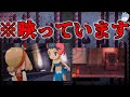 【ポケモントラウマ】初見では気づかないホラー演出が怖い：『映り込む少女と幽霊の会話』『体験版にあった怪奇現象』【ORASホラーイベント紹介/考察】