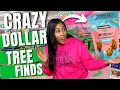 YOU WONT BELIEVE WHAT I FOUND AT DOLLAR TREE * NEW * RARE FINDS !