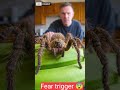 “The Deadliest Spider That Hunts Humans 😨” ✅ #shorts #ai #usa #america #usatrending