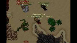 Tibia Balera ~~ Gold Kondilis