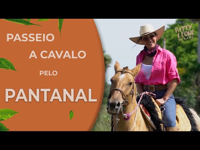 Manada de Cavalos Pantaneiros em uma Fazenda do Pantanal 