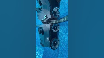 Pool Bliss 🏊‍♂️✨ | Aiper Seagull Pro Review: Cordless & Effortless Pool Cleaning!