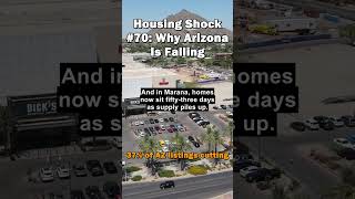 Housing Shock #70: Why Arizona Is Falling Housing Shock #70: Why Arizona Is Falling