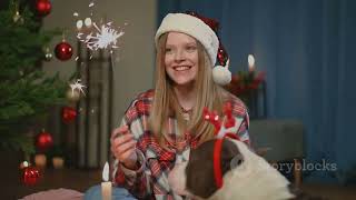 Celebrate Holidays Safely with Your Dog: Tips & Tricks!