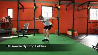 DB Reverse Fly Drop Catches