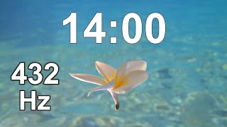 14 Minute Timer - Countdown - Online Timer