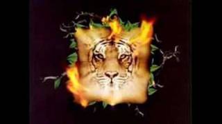 Miniatura de "1. Ya Te Vele - Molotov  (El Mas Grande Homenaje A Los Tigres Del Norte)"