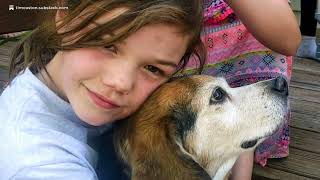 Joni's Song (Benefit video for SAFPAW.ORG)