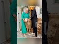 سارة ابو جاد وزوجها