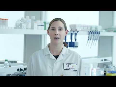 Visium Tissue Optimization Protocol | Tissue Removal