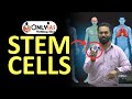 Stem cells        types of stem cells  onlyias  shivam yash