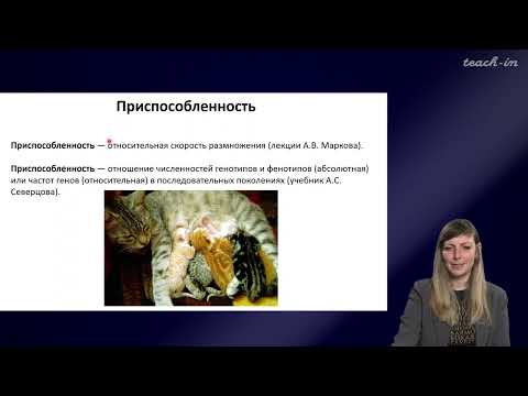 Шурупова Яна Андреевна - Теория эволюции - 5. Естественный отбор и борьба за существование