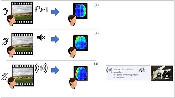 Winner of the 2020 IEEE Access Best Multimedia Award (Part 2)
