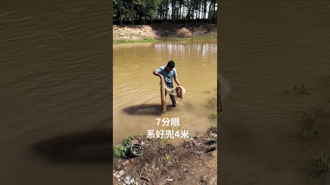 how to catch fishing  in the river #fishing #fishcurry