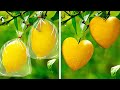 15 Easy Ways to Grow Veggies And Fruits || Useful Gardening Tips by 5-Minute Recipes!