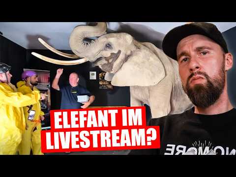 Tierquälerei für KLICKS & BODENLOSE Statements | Robert Marc Lehmann reagiert