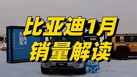 比亞迪1月銷量解讀：基本盤有所鬆動，仰望單月貢獻18.1億 - 天天要聞