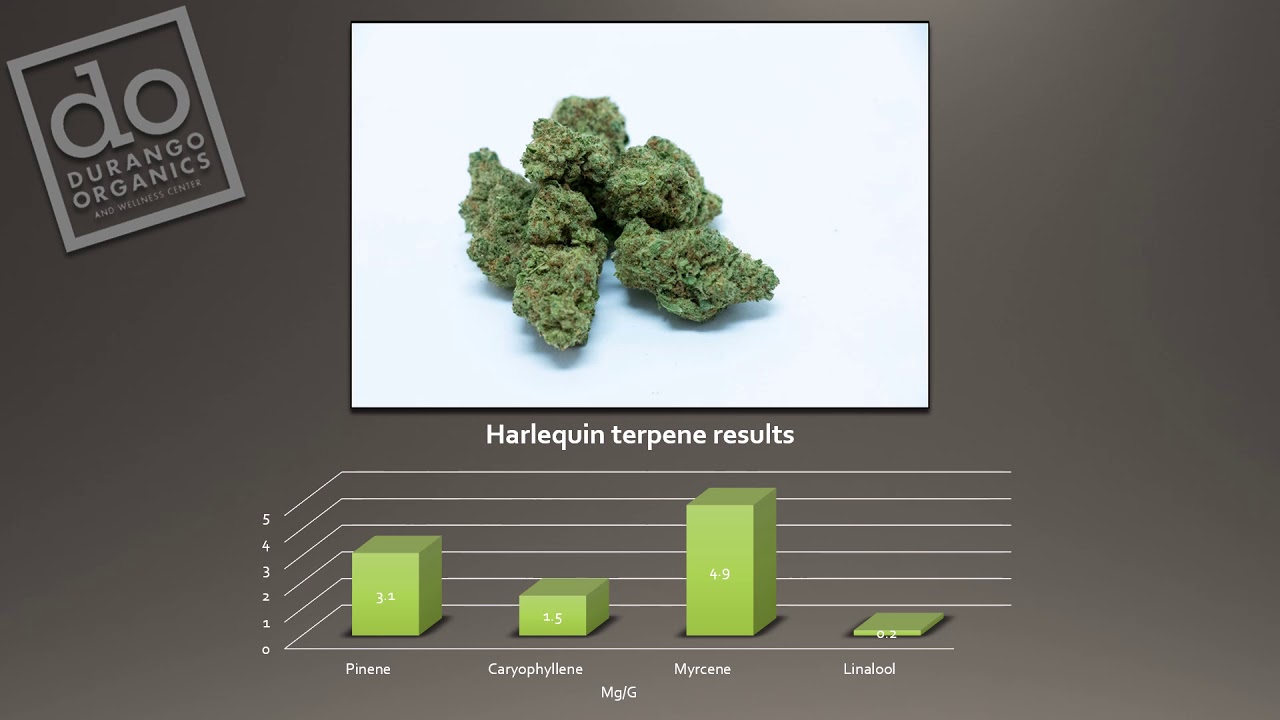Durango Organics Terpene results
