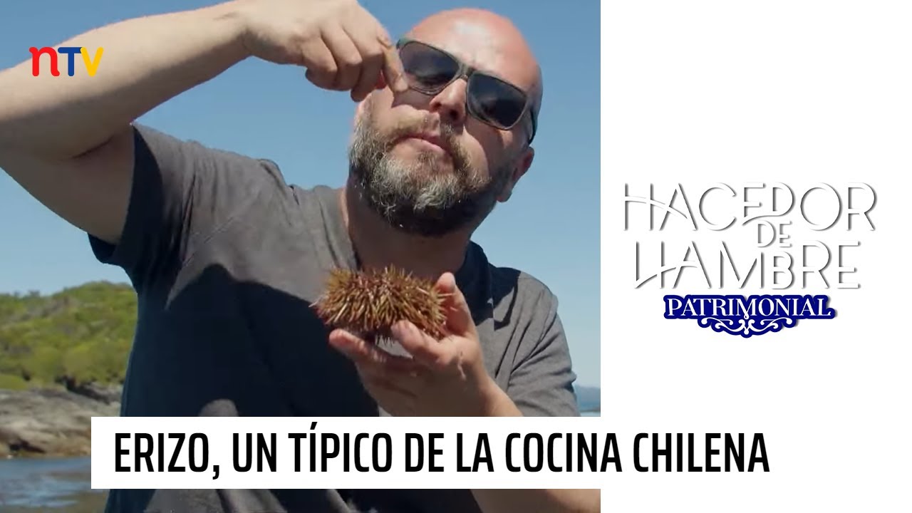 Hacedor de Hambre Patrimonial: El Erizo