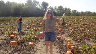 Autumn Side Quests Ren Faire, Corn Maze, Pumpkin Patch, & More