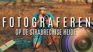 Fotograferen Op De Strabrechtse Heide
