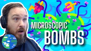 EXPLOSIVE Cells!! Tiny Bombs in Your Blood - The Complement System [Reaction]